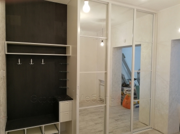 Шкаф купе в прихожей на заказ